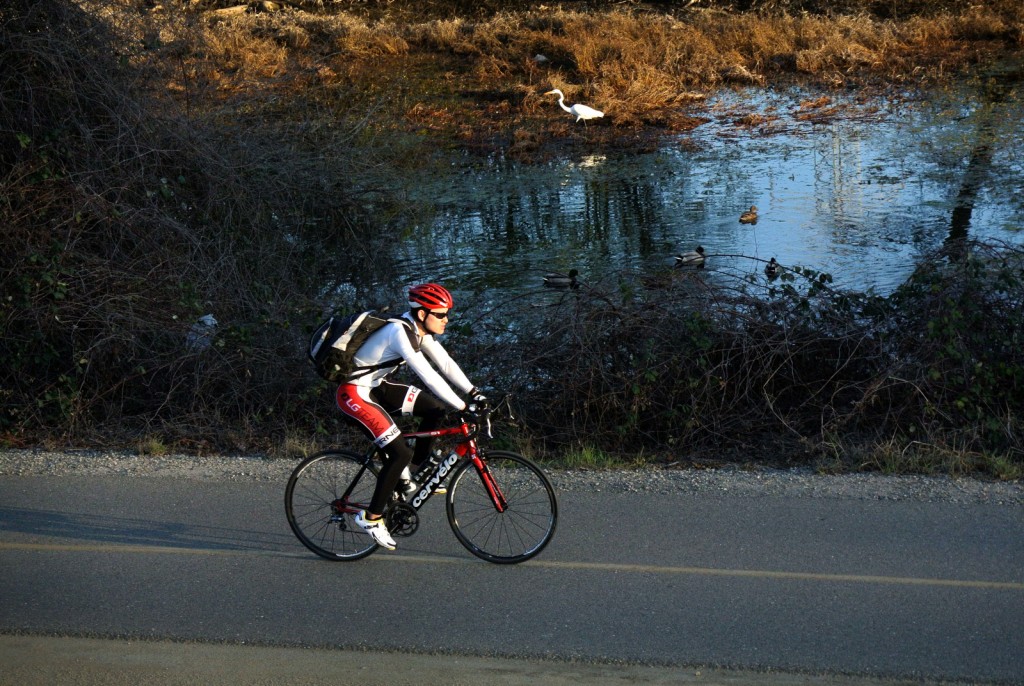 Commuting along the American River. Photo by Tim Reese